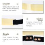 Womens Full Metal Sleek Mirror Plate Waistband Belt Chain Dress Decorated Skinny waist belt for women saree, dress and traditional cloth Adjustable Belt for Ladies