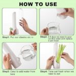 Plastic Herb Saver Pod For The Fridge Small Produce Saver Food Storage Container Vegetable Keeper Herbs Storage Bpa Free Vegetable Container Keep Fresh Herb Saver