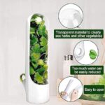 Plastic Herb Saver Pod For The Fridge Small Produce Saver Food Storage Container Vegetable Keeper Herbs Storage Bpa Free Vegetable Container Keep Fresh Herb Saver