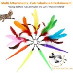 Cat Toys - Interactive 11 Piece Cat Toy Set with Retractable Wands and Feather Worm Toys - Kitten Toys Variety of Vibrant Colours - Activity Toys to Exercise Cats and Kittens