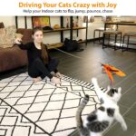 Cat Toys - Interactive 11 Piece Cat Toy Set with Retractable Wands and Feather Worm Toys - Kitten Toys Variety of Vibrant Colours - Activity Toys to Exercise Cats and Kittens